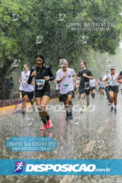 20ª PROVA PEDESTRE CIDADE DE LONDRINA