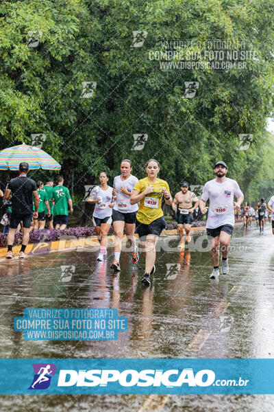 20ª PROVA PEDESTRE CIDADE DE LONDRINA