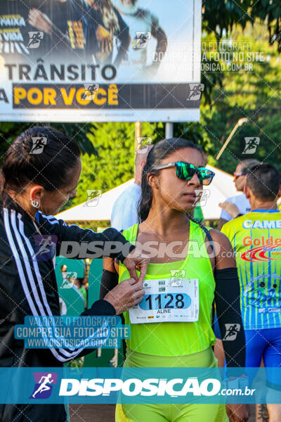 Vale Verde Run 2024