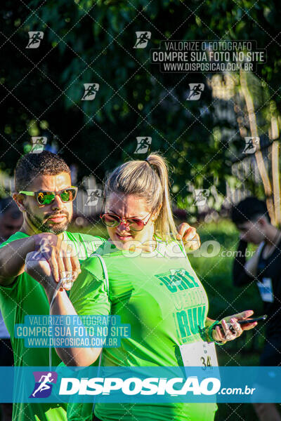 Vale Verde Run 2024