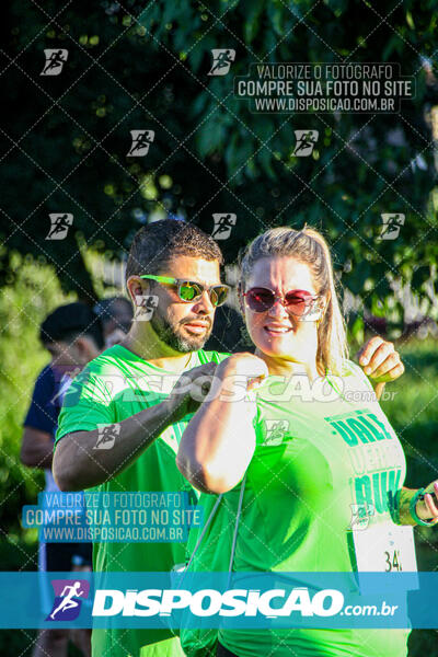 Vale Verde Run 2024