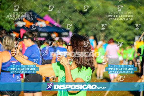 Vale Verde Run 2024