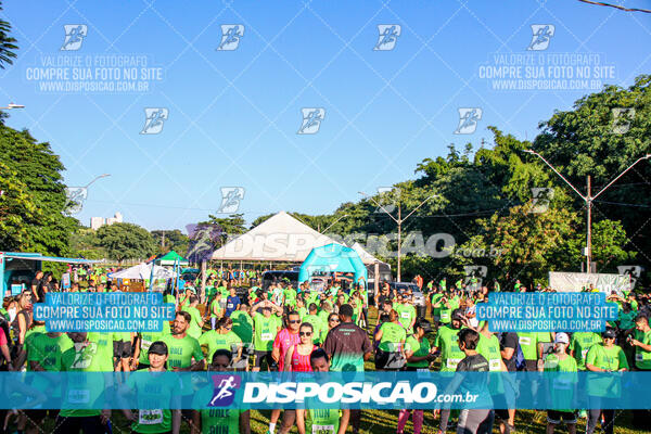 Vale Verde Run 2024