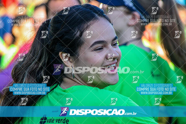 Vale Verde Run 2024