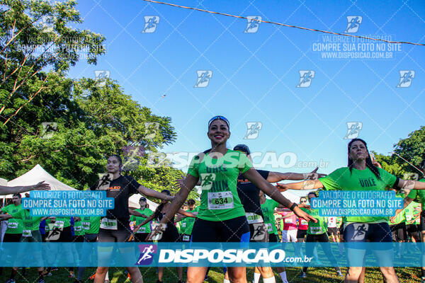 Vale Verde Run 2024