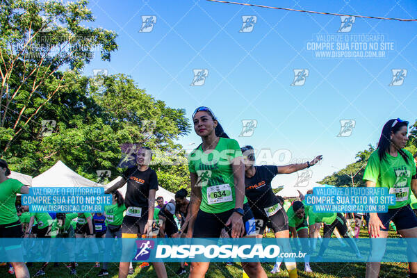 Vale Verde Run 2024