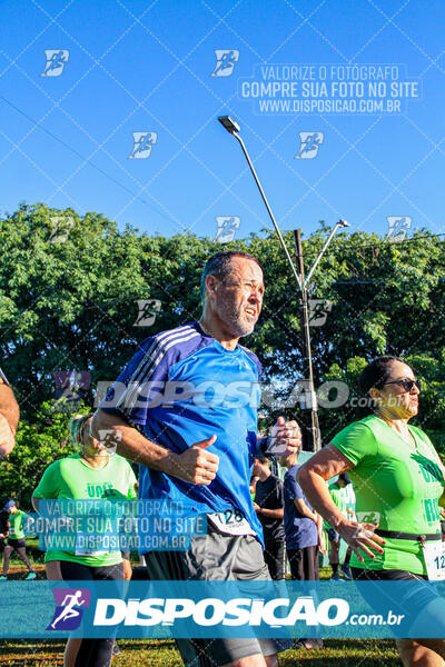 Vale Verde Run 2024