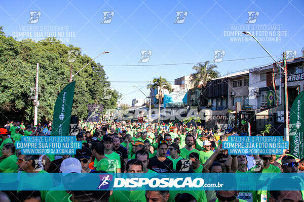 Vale Verde Run 2024