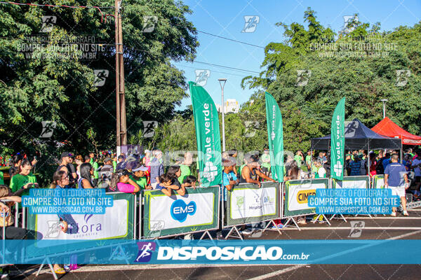 Vale Verde Run 2024