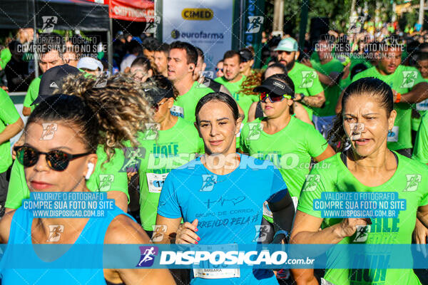 Vale Verde Run 2024