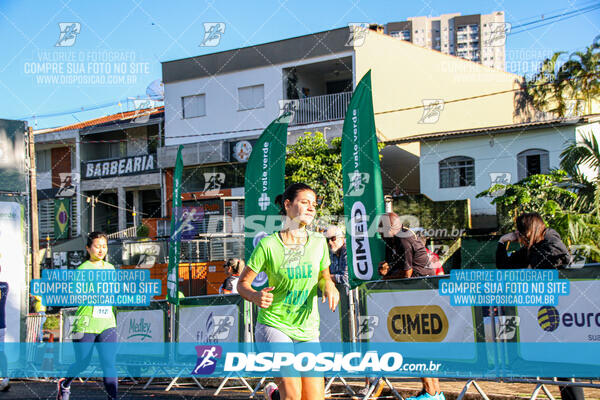 Vale Verde Run 2024