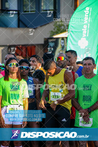 Vale Verde Run 2024