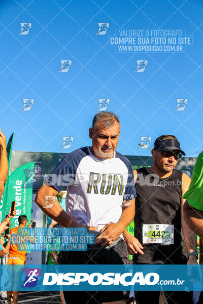 Vale Verde Run 2024