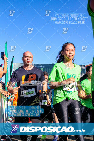 Vale Verde Run 2024