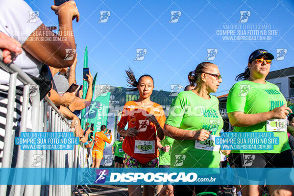 Vale Verde Run 2024