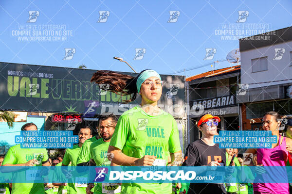 Vale Verde Run 2024