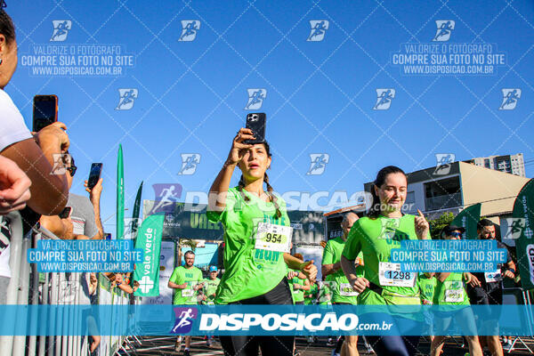 Vale Verde Run 2024