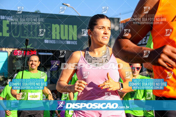 Vale Verde Run 2024