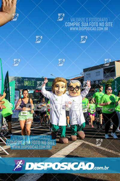 Vale Verde Run 2024