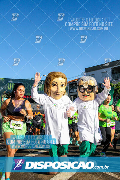 Vale Verde Run 2024