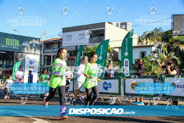 Vale Verde Run 2024