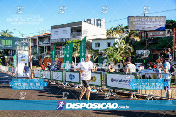 Vale Verde Run 2024