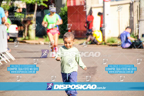 Vale Verde Run 2024