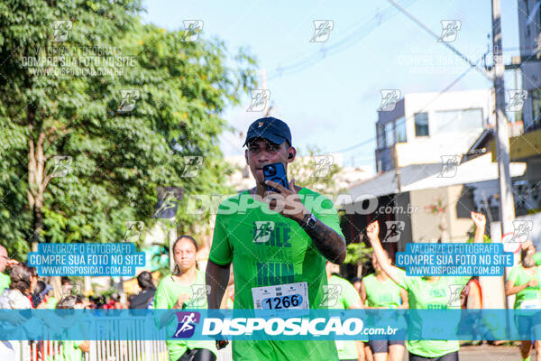 Vale Verde Run 2024