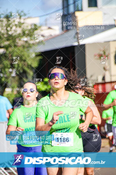 Vale Verde Run 2024