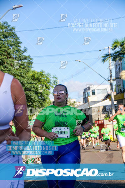 Vale Verde Run 2024