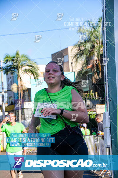 Vale Verde Run 2024