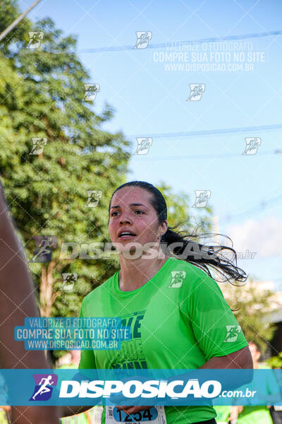 Vale Verde Run 2024