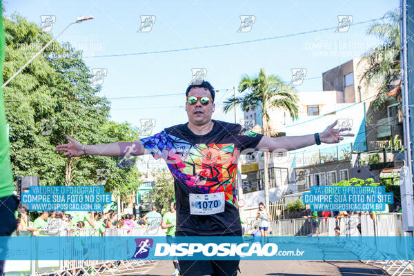 Vale Verde Run 2024