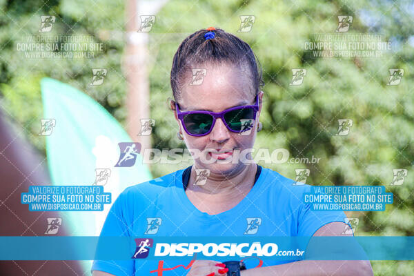 Vale Verde Run 2024