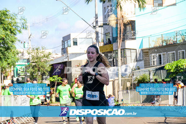 Vale Verde Run 2024