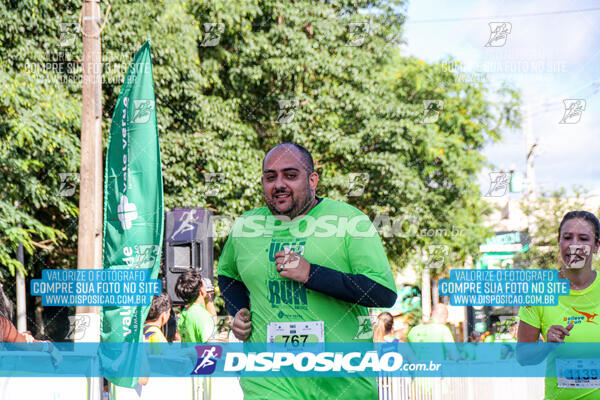 Vale Verde Run 2024