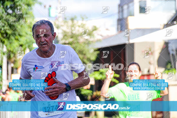 Vale Verde Run 2024