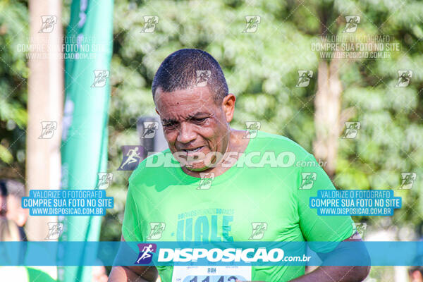 Vale Verde Run 2024