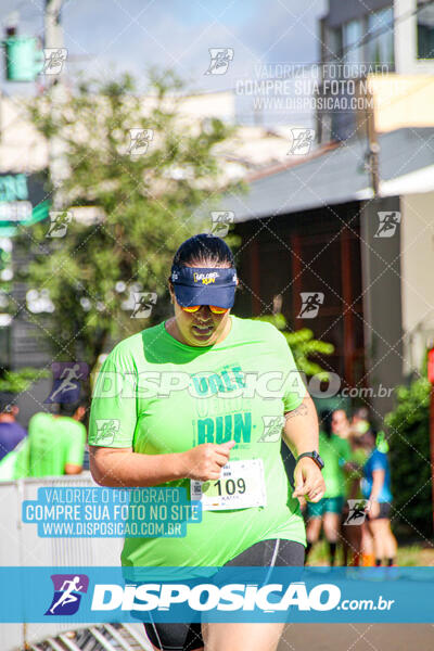 Vale Verde Run 2024