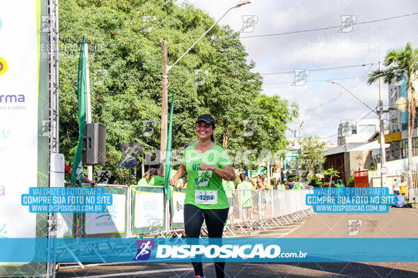 Vale Verde Run 2024