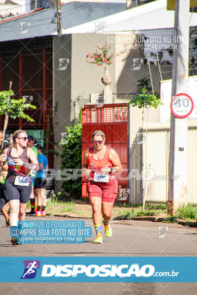 Vale Verde Run 2024