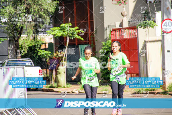 Vale Verde Run 2024