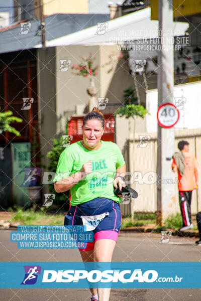 Vale Verde Run 2024