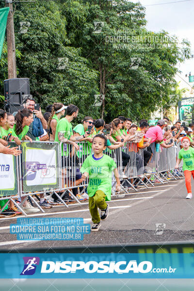 Vale Verde Run 2024