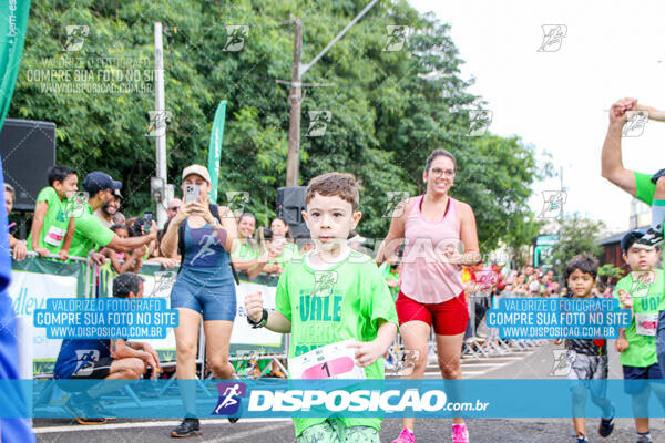 Vale Verde Run 2024