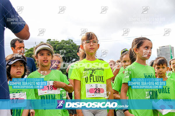 Vale Verde Run 2024