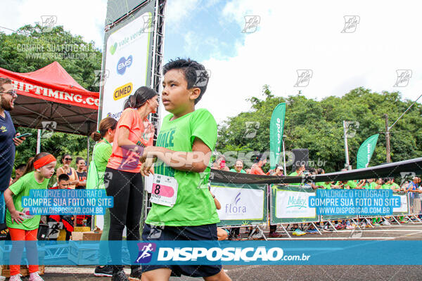 Vale Verde Run 2024