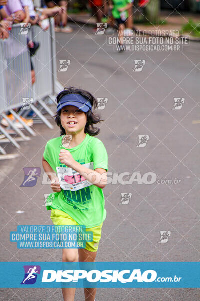 Vale Verde Run 2024