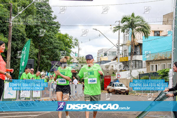 Vale Verde Run 2024