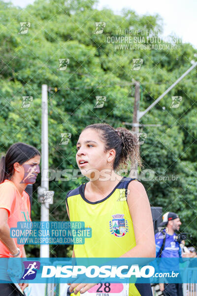 Vale Verde Run 2024